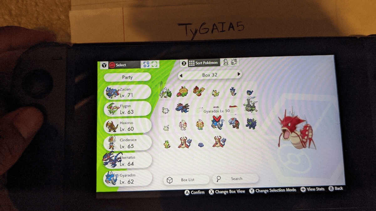 How to get more boxes in Pokemon Sword Pokewolf