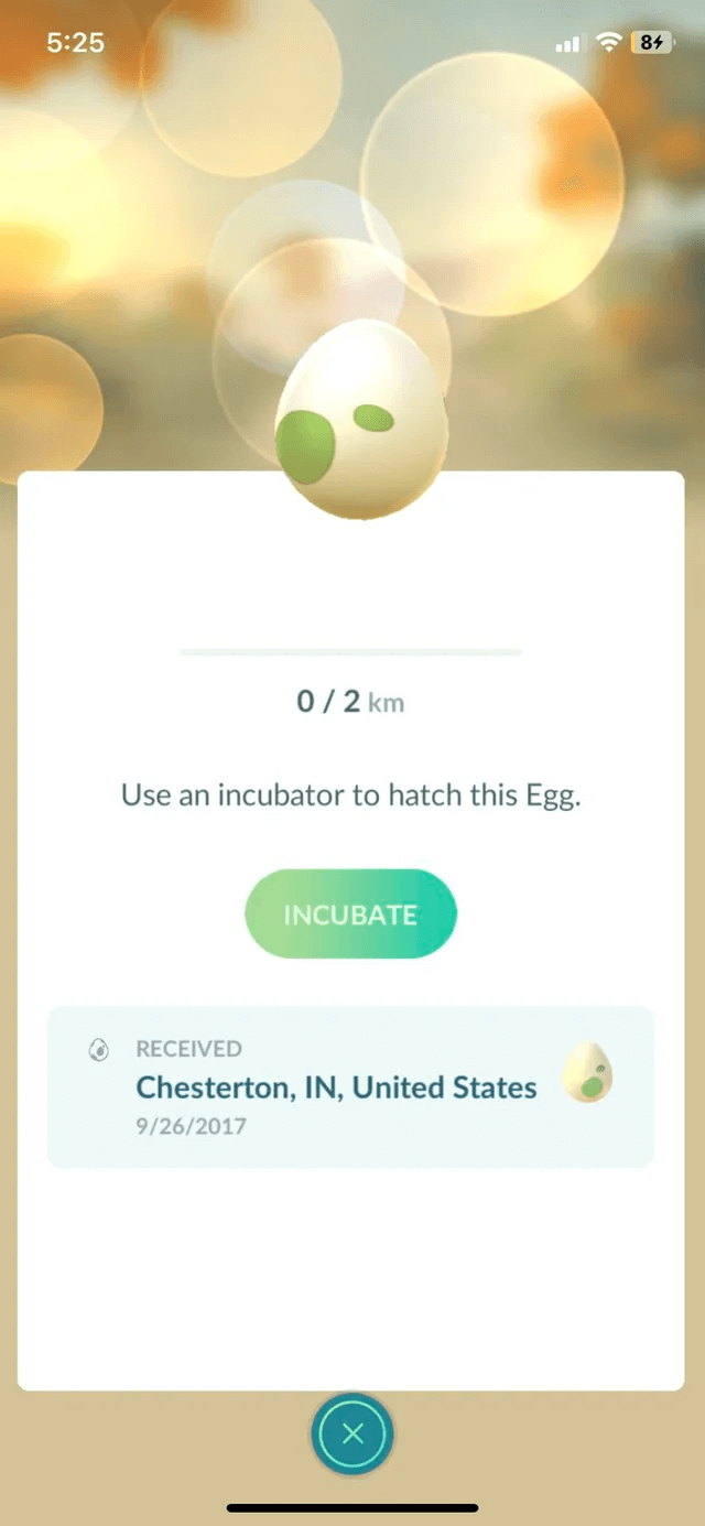 Why is Pokémon Go not hatching eggs? Pokewolf