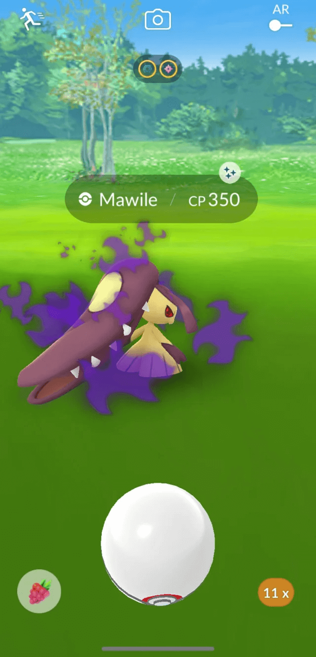 Can You Get Shiny Shadow Pokemon from Grunts? Pokewolf