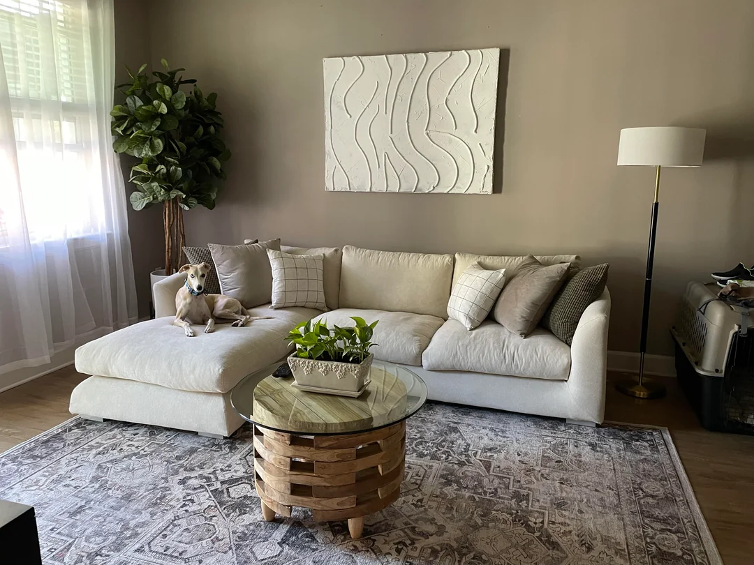 Neutral Color Living Room Ideas - Off-white sofa